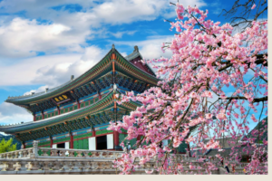 Ilustrasi wisata alam di Korea. Foto: Tawatchaiprakobkit/Getty Images.