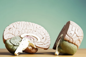 Brain fog